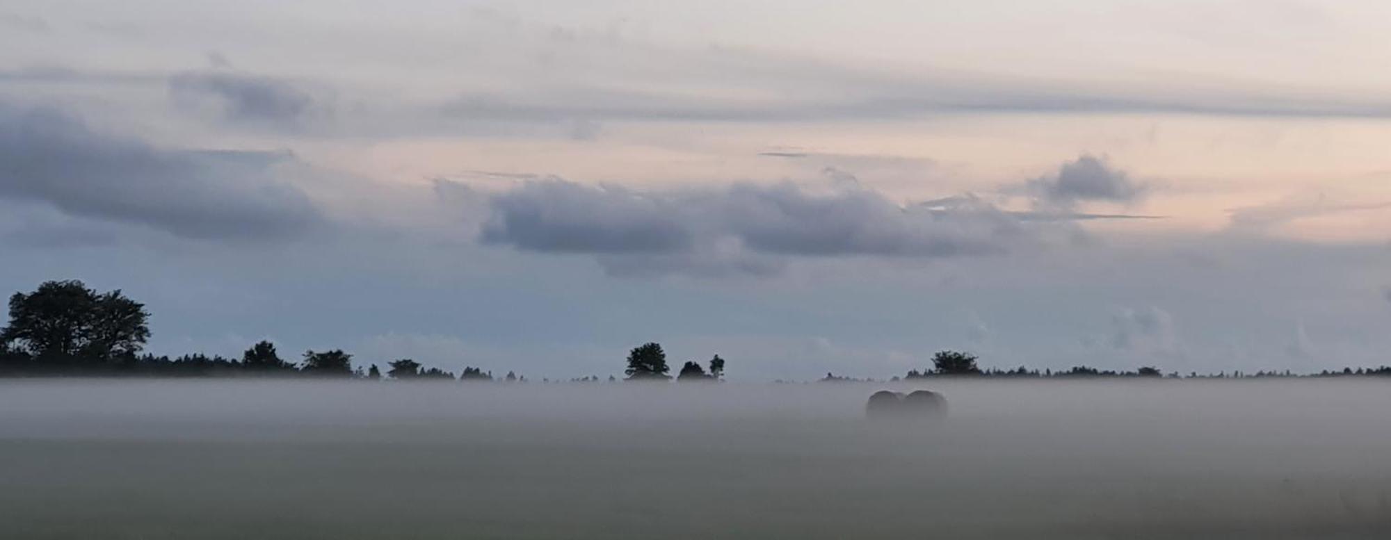 فيلا Anni Tourism Farm Tammese المظهر الخارجي الصورة