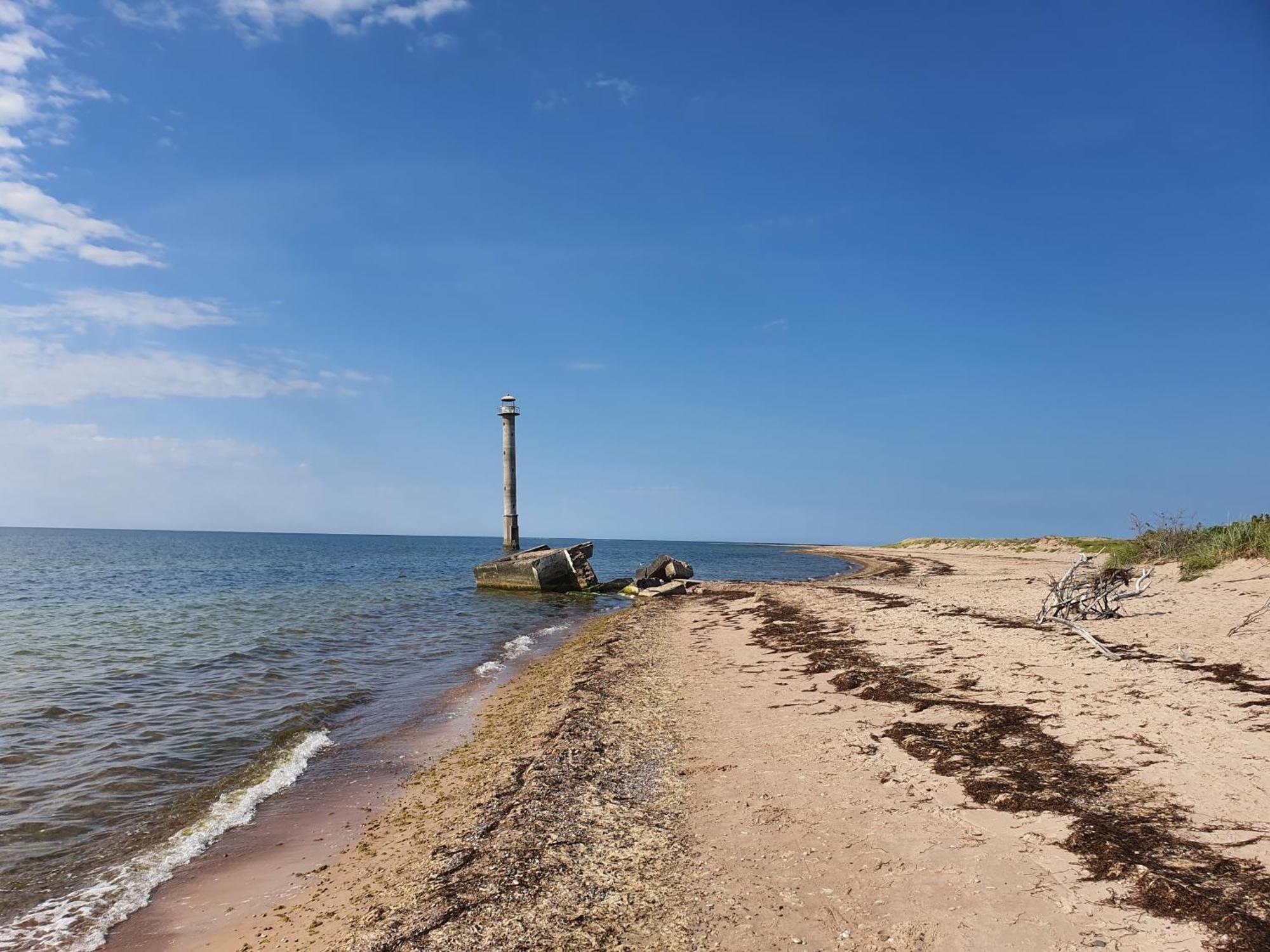فيلا Anni Tourism Farm Tammese المظهر الخارجي الصورة