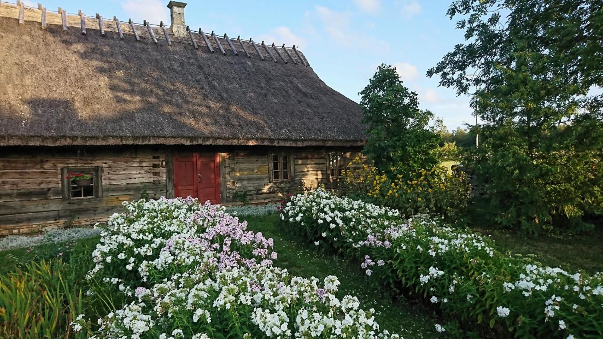 فيلا Anni Tourism Farm Tammese المظهر الخارجي الصورة