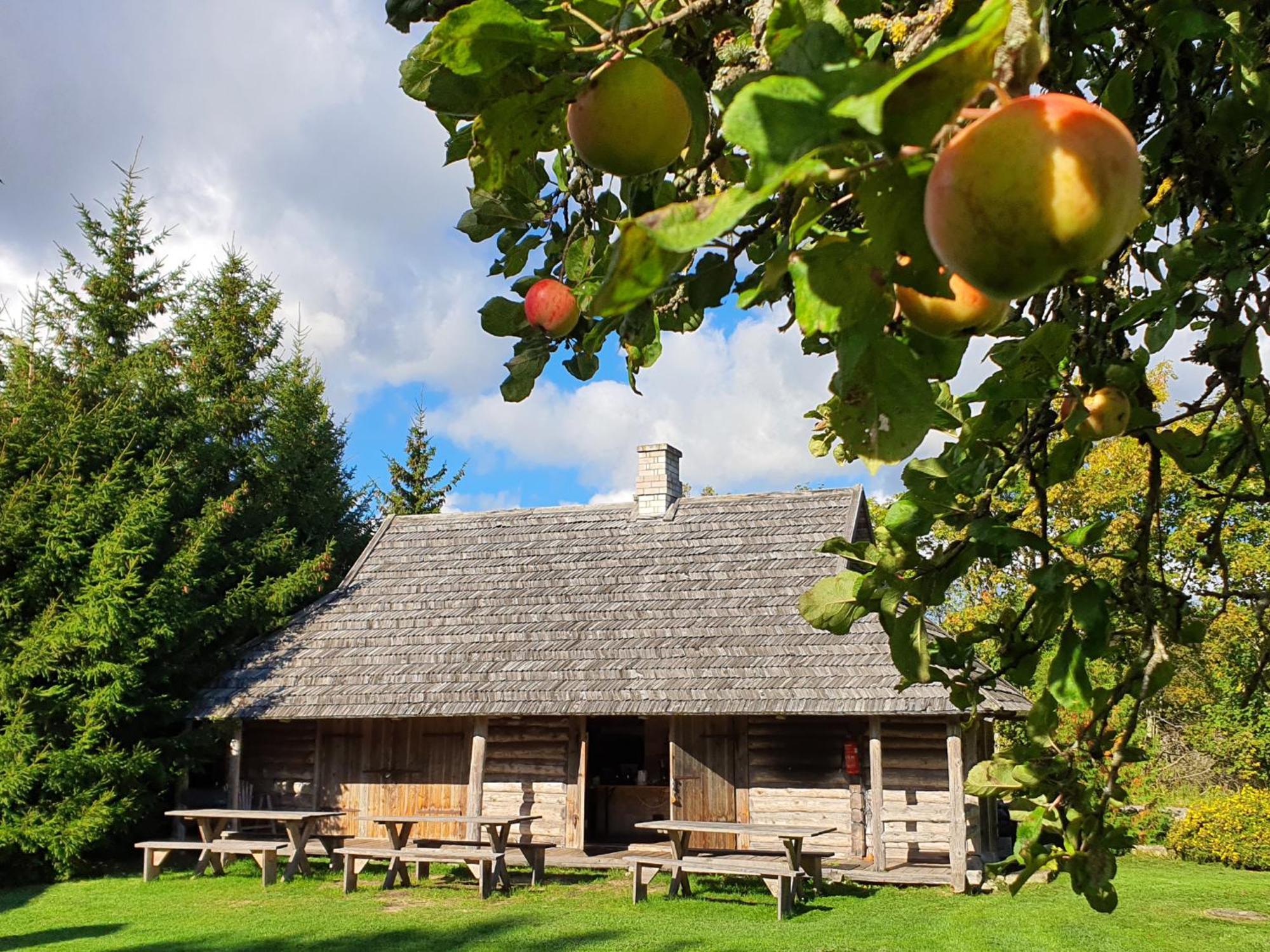 فيلا Anni Tourism Farm Tammese المظهر الخارجي الصورة