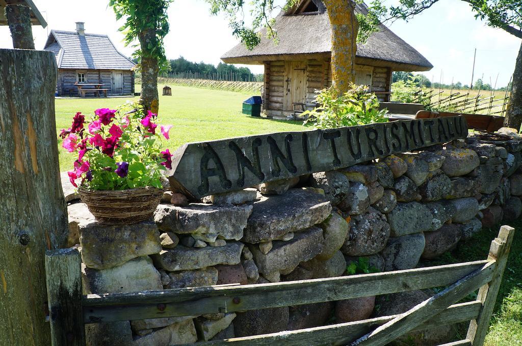 فيلا Anni Tourism Farm Tammese المظهر الخارجي الصورة